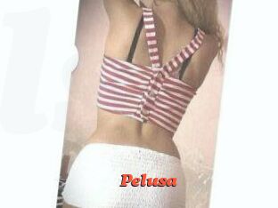Pelusa