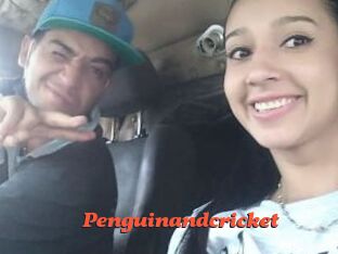 Penguinandcricket