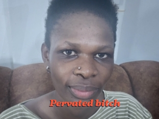 pervated_bitch Livespot