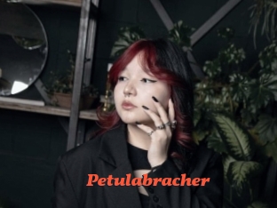 Petulabracher