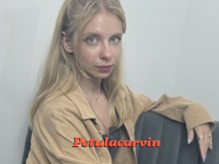 petulacarvin Livespot