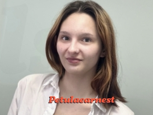 Petulaearnest