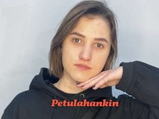Petulahankin