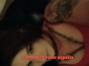 Phoenix_rose_again