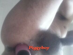 Piggyboy