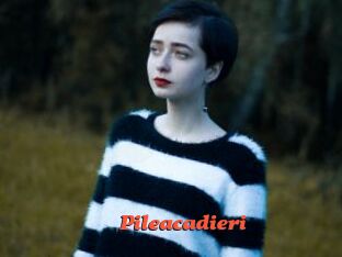 Pileacadieri