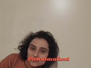 Pisicutacalient