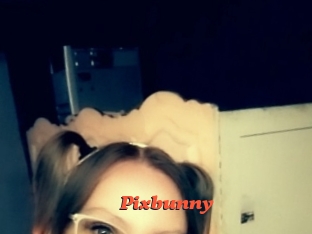 Pixbunny