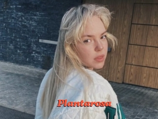 Plantarosa