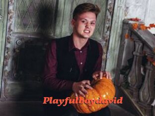 Playfulboydavid