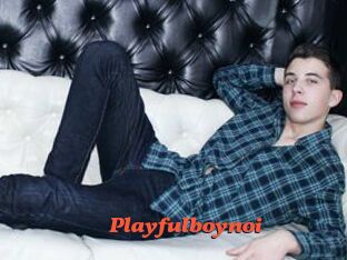 Playfulboynoi