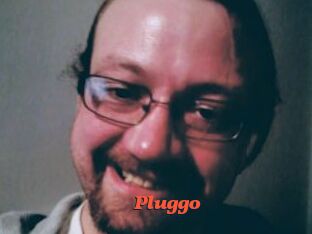 Pluggo