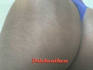 poleheathen Livespot