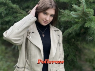 Pollerose
