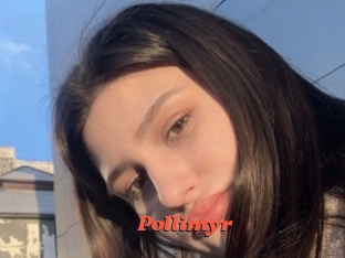 Pollimyr