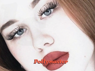 Pollynaster