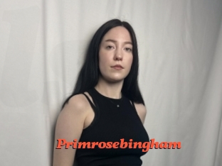 Primrosebingham