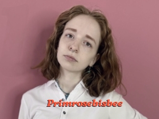 primrosebisbee Livespot