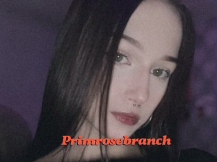 Primrosebranch