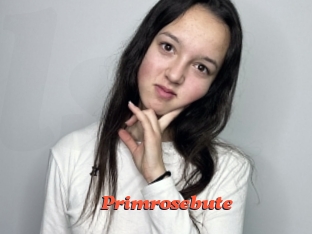 primrosebute Livespot