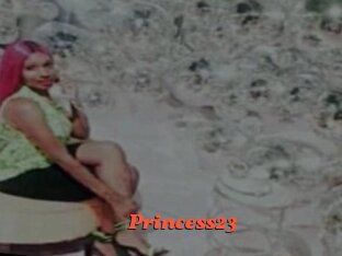princess23 Livespot