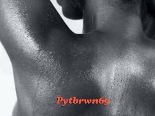 Pytbrwn69