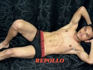 REPOLLO
