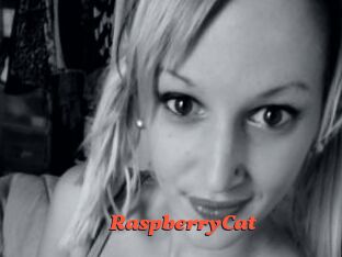 RaspberryCat