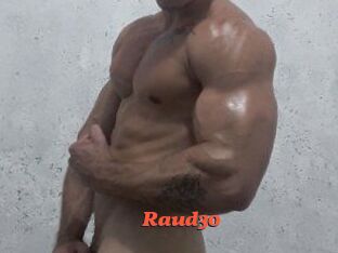 Raud30
