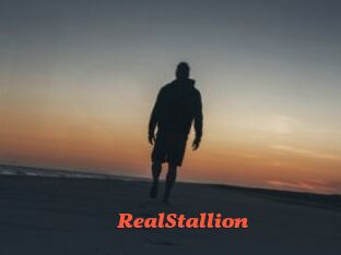 RealStallion