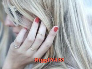 RiggINASS