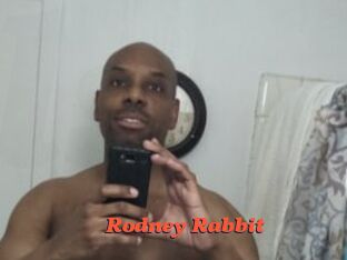 Rodney_Rabbit