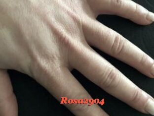 Rosa2904