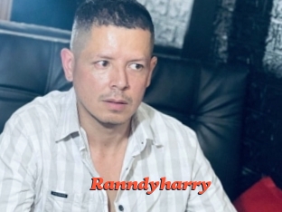 Ranndyharry