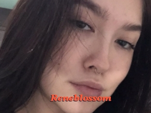 reneblossom Livespot