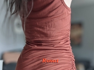 Rosa1