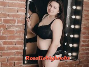 Rosaliebigboobs