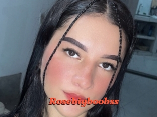 Rosebigboobss