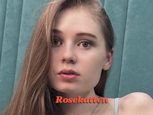 Rosekatten