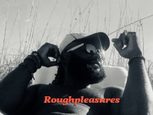 Roughpleasures