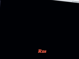 Rzs