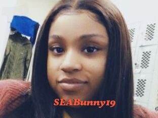 SEABunny19