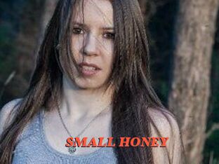 SMALL_HONEY
