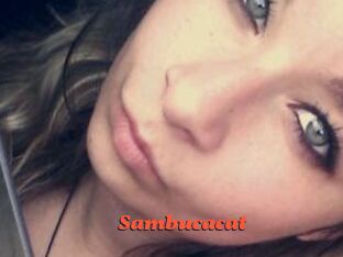 Sambucacat