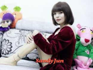 SandyJun Livespot