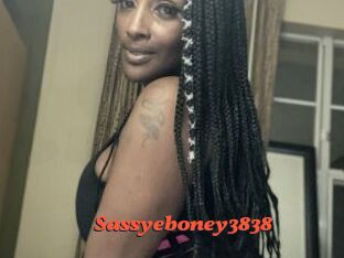 Sassyeboney3838