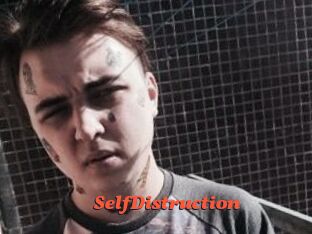 SelfDistruction