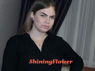 ShiningFlower