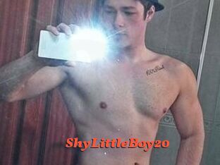ShyLittleBoy20