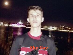 Shy_Gay
